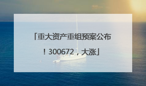 重大资产重组预案公布！300672，大涨